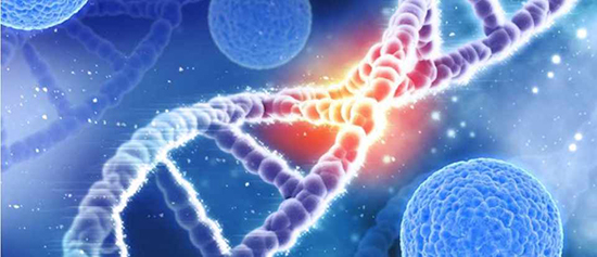 دانستنی‌های جالب درباره دی‌ان‌ای (DNA)