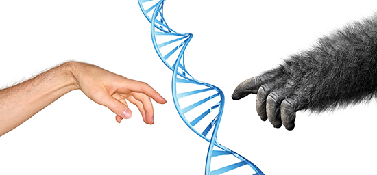 دانستنی‌های جالب درباره دی‌ان‌ای (DNA)
