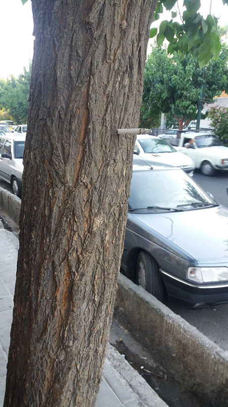 شوخیهای جالب شبکههای اجتماعی؛ شوخیهای جالب شبکههای اجتماعی؛