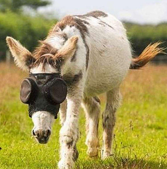 شوخیهای جالب شبکههای اجتماعی؛ شوخیهای جالب شبکههای اجتماعی؛
