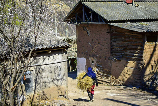 سیاه رودبار؛ روستایی در دل جنگل‌های سرخ گلستان