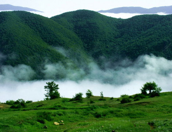 جنگل ابر شاهرود، ساعاتی در میان ابر و رویا!