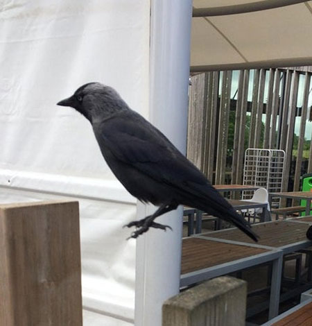 تصاویری که دیدن آن‌ها باعث می‌شود به قوانین فیزیک شک کنید!