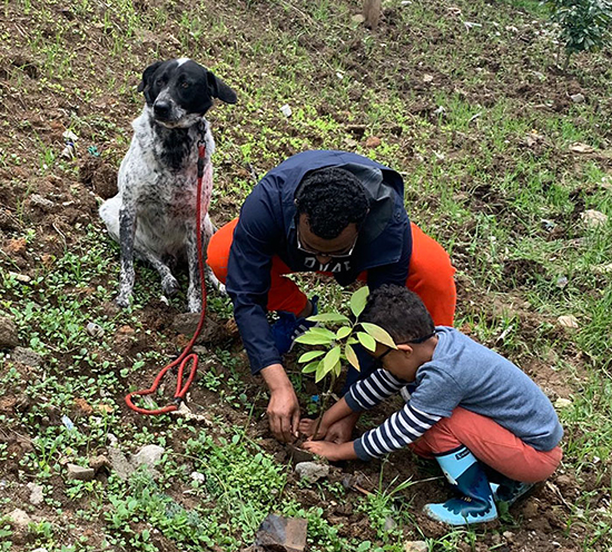 اتیوپی رکورد جهانی کاشت درخت را شکست