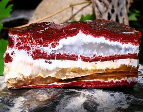 چیزهایی غیر خوراکی که مانند غذاهای خوشمزه به نظر می رسند