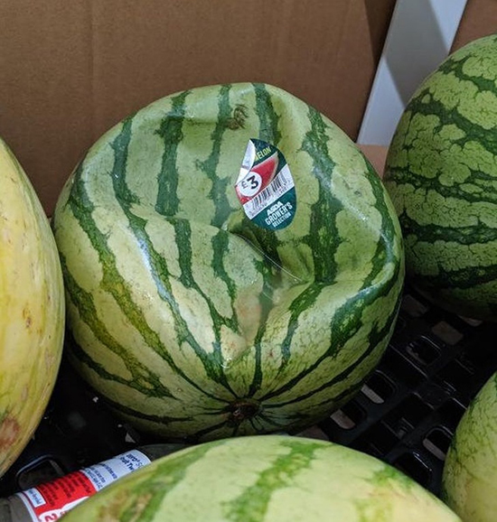 پدیدههای نادری که به ندرت میتوانید آنها را ببینید! پدیدههای نادری که به ندرت میتوانید آنها را ببینید!