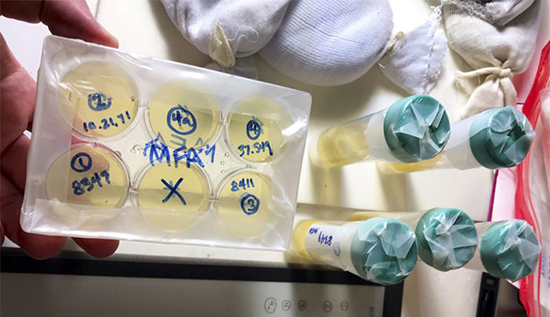 پخت نان با مایه خمیر 4500 سال پیش پخت نان با مایه خمیر 4500 سال پیش