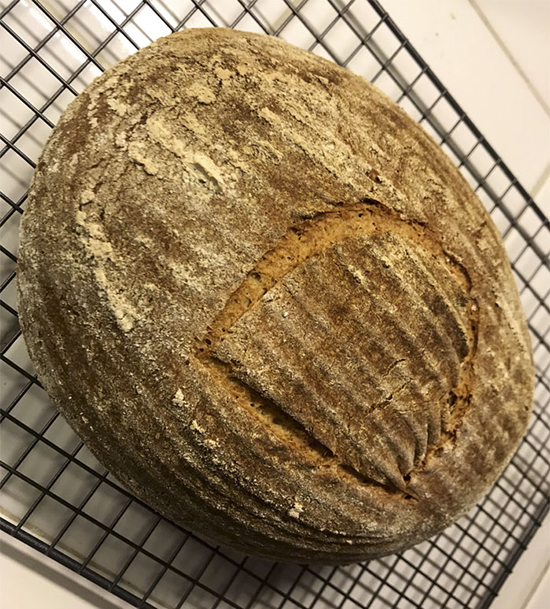 پخت نان با مایه خمیر 4500 سال پیش پخت نان با مایه خمیر 4500 سال پیش