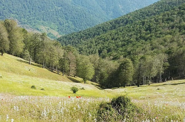 سه مقصد گردشگری رویایی در استان گیلان