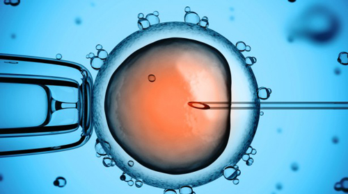 بچه دار شدن با IVF و همه هزینه ها و دردسرهایش