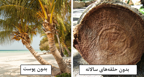 درباره اینها یک عمر اشتباه می کردیم! درباره اینها یک عمر اشتباه می کردیم!