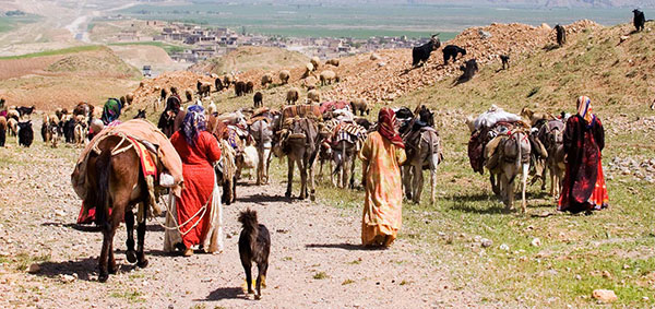 عشایر شاهسون، از اصالت تا زندگی شیرین!