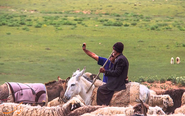 عشایر شاهسون، از اصالت تا زندگی شیرین!