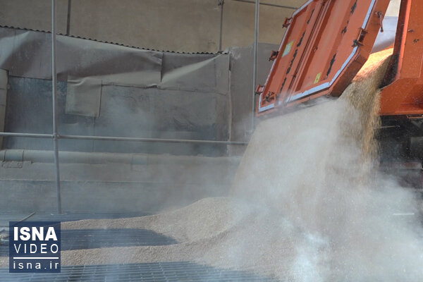 ویدئو / خیانت هزار میلیارد تومانی در نان شب! خیانت هزار میلیارد تومانی در نان شب!