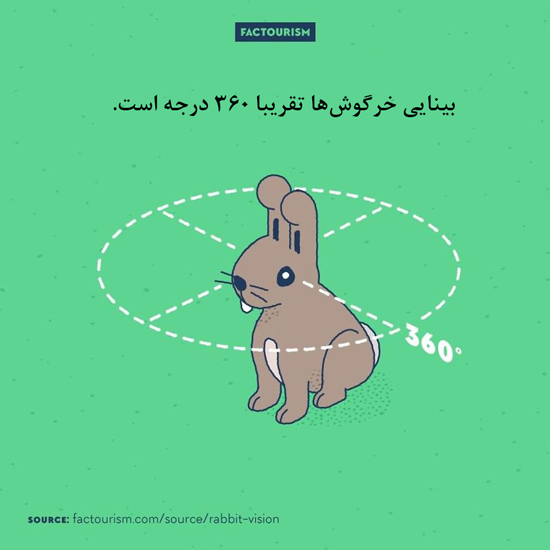 تصویرسازی‌های جالب از دانستنی‌های جالب