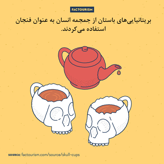 تصویرسازی‌های جالب از دانستنی‌های جالب