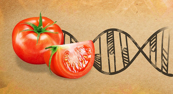 ویرایش ژن چیست و چه خطراتی دارد؟ ویرایش ژن چیست و چه خطراتی دارد؟