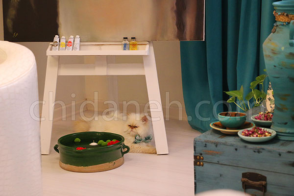 طراحی خانه سه خوابه، رنگ سفید در منزل این هنرور شیرازی! طراحی خانه سه خوابه، رنگ سفید در منزل این هنرور شیرازی!