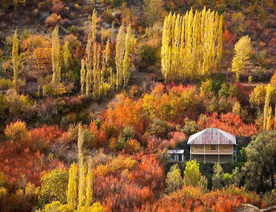 جاده‌ای رؤیایی برای پاییزگردی