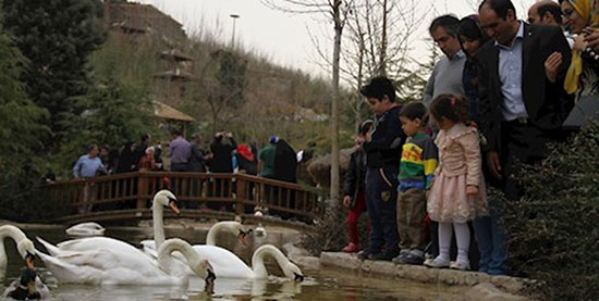 تماشای ۳ هزار پرنده در تهران