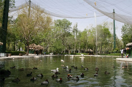 تماشای ۳ هزار پرنده در تهران
