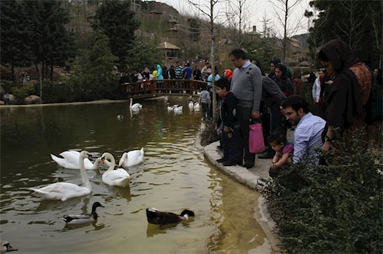 تماشای ۳ هزار پرنده در تهران