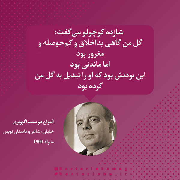 هایلایت (2)
