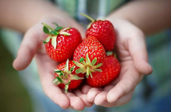 حقایقی جالب درباره میوه‌ها و سبزیجات