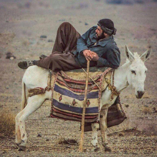 شوخی‌های جالب شبکه‌های اجتماعی؛