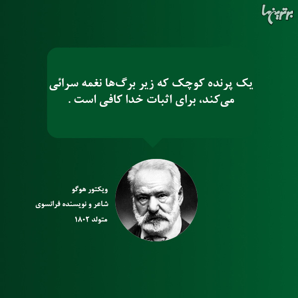 هایلایت (117)