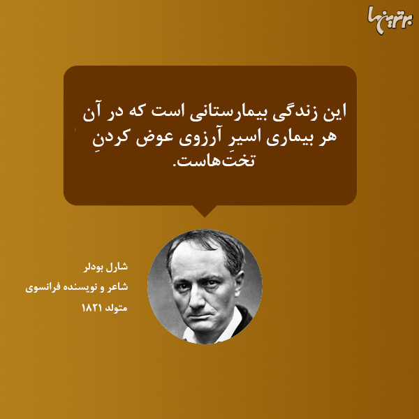 هایلایت (117)