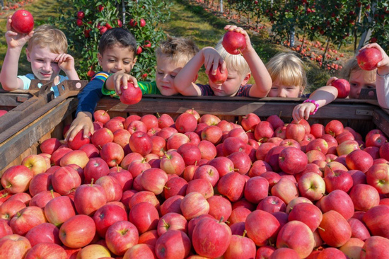 موضوعات جالبی که در کشورهای مختلف مدارس تدریس می شود