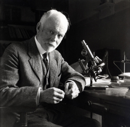 زنان بااستعدادی که افتخارشان به نام مردان ثبت شد زنان بااستعدادی که افتخارشان به نام مردان ثبت شد