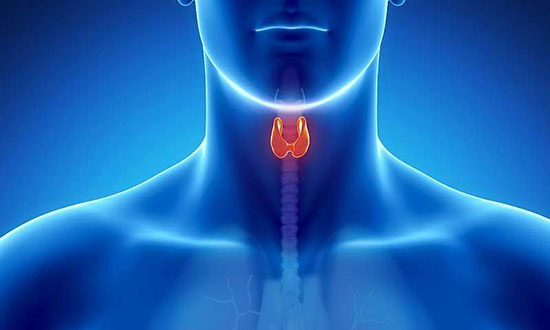 چرا بعد از غذا خوردن معده درد می‌گیرید؟