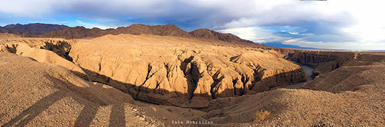طبس؛ سرزمین رفاقت نخل و پرتقال