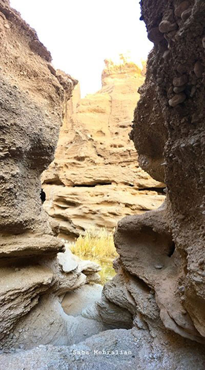 طبس؛ سرزمین رفاقت نخل و پرتقال