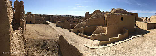 طبس؛ سرزمین رفاقت نخل و پرتقال