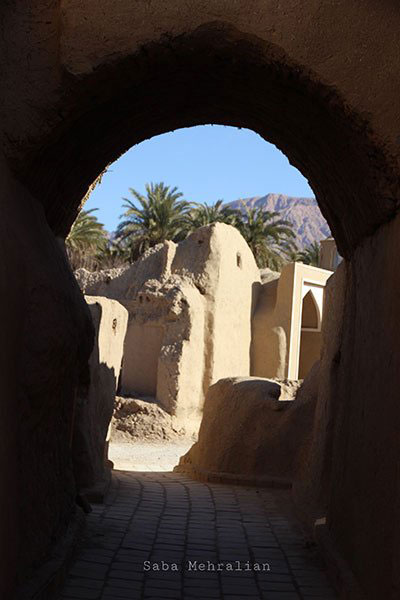 طبس؛ سرزمین رفاقت نخل و پرتقال