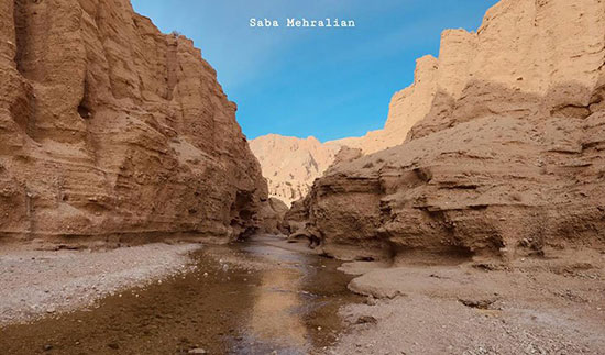 طبس؛ سرزمین رفاقت نخل و پرتقال