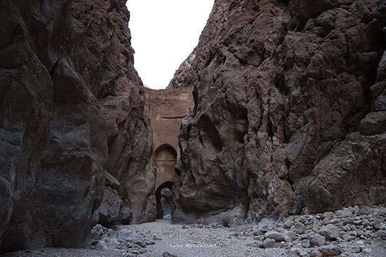 طبس؛ سرزمین رفاقت نخل و پرتقال