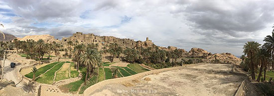 طبس؛ سرزمین رفاقت نخل و پرتقال