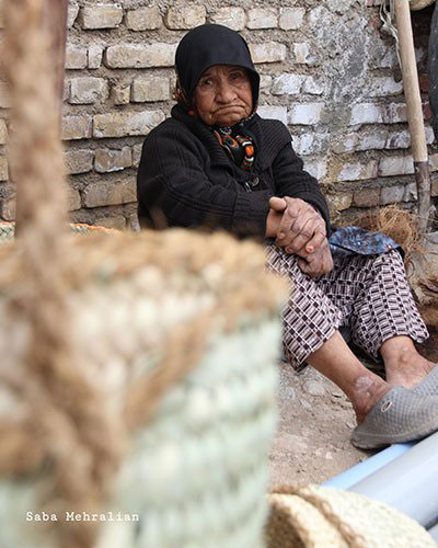 طبس؛ سرزمین رفاقت نخل و پرتقال