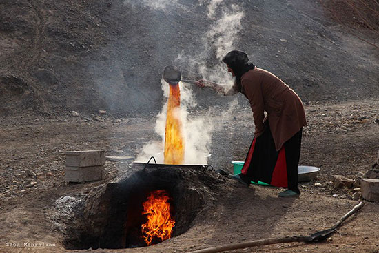 طبس؛ سرزمین رفاقت نخل و پرتقال