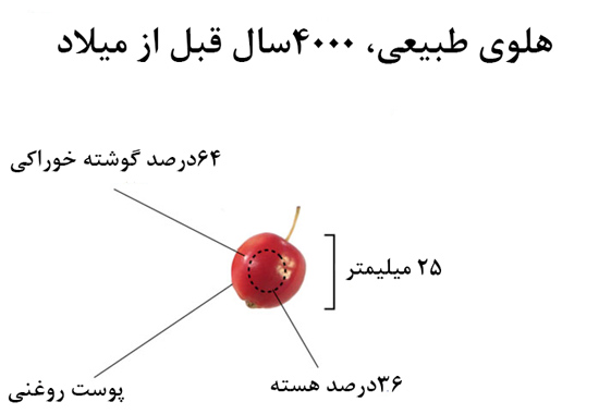 میوه‌ها و سبزیجات را قبل از اهلی شدن ببینید