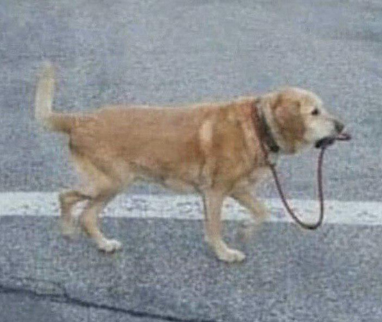 شوخیهای جالب شبکههای اجتماعی؛ شوخیهای جالب شبکههای اجتماعی؛