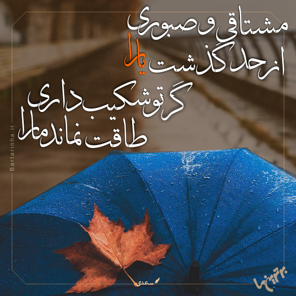 مینی شعر (266)