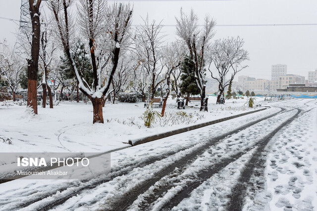 بارش برف زمستانی در کرج