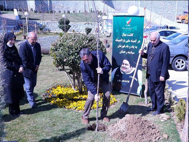 نهالی به یاد سیامند رحمان در کمیته ملی المپیک و پارالمپیک نهالی به یاد سیامند رحمان در کمیته ملی المپیک و پارالمپیک