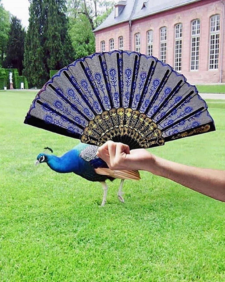 خلاقیت از سراسر دنیا!