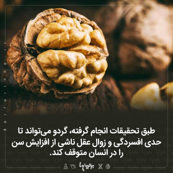 دانستنیهای جالب (۲۵۶) دانستنیهای جالب (۲۵۶)
